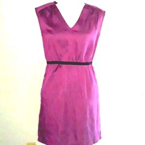 Ann Taylor Loft  Purple Dress